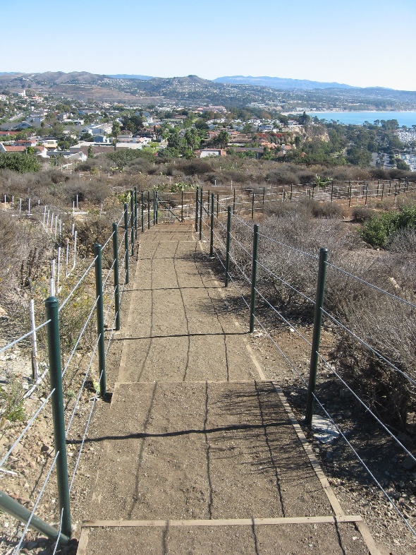 Trails