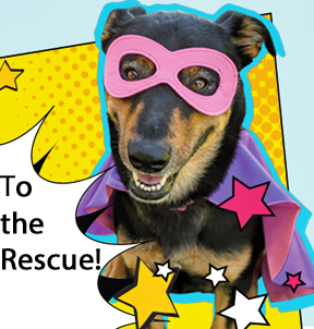 To the Rescue