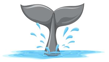 Whale Tail Graphic (002)
