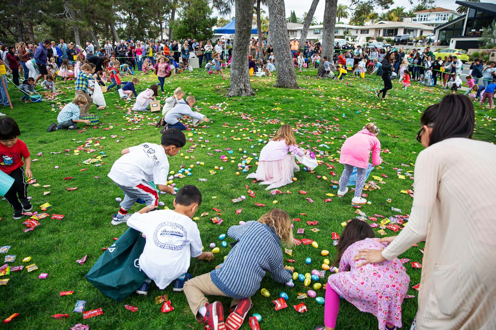 Egg Hunt Photo