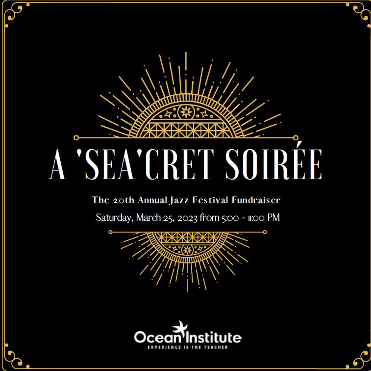 OI Seacret Soiree