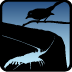 NR Icon